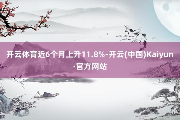 开云体育近6个月上升11.8%-开云(中国)Kaiyun·官方网站