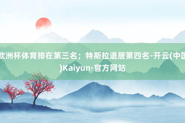 欧洲杯体育排在第三名；特斯拉退居第四名-开云(中国)Kaiyun·官方网站