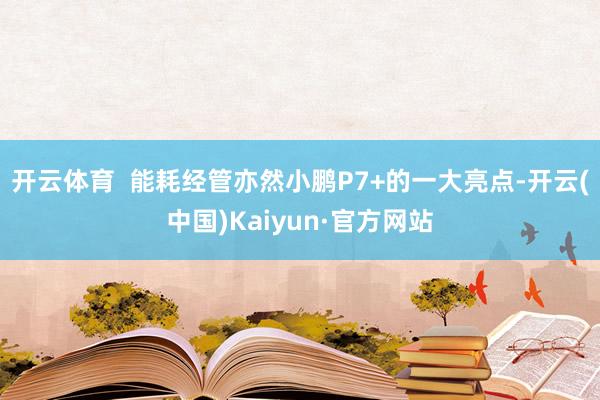 开云体育  能耗经管亦然小鹏P7+的一大亮点-开云(中国)Kaiyun·官方网站