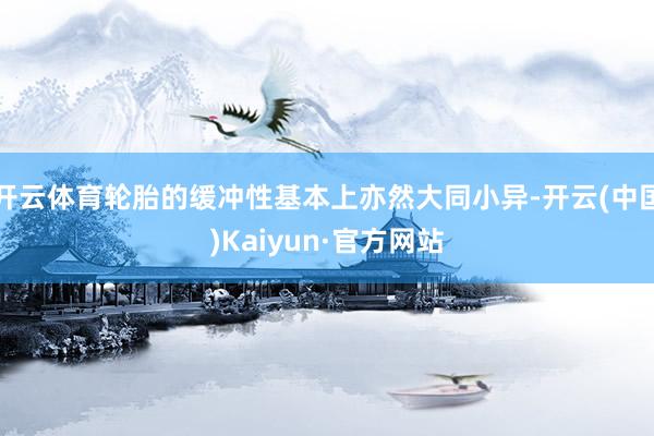 开云体育轮胎的缓冲性基本上亦然大同小异-开云(中国)Kaiyun·官方网站